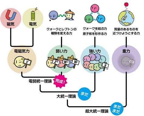 大統一場理論